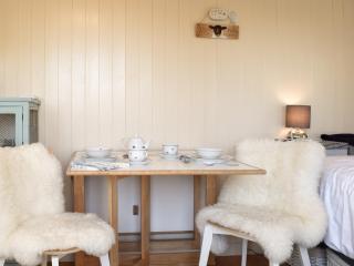 Molly The Shepherds Hut - Bampton - 5