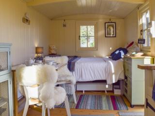 Molly The Shepherds Hut - Bampton - 9
