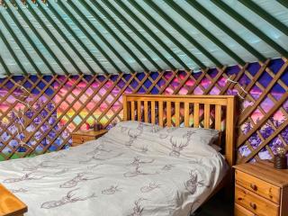 Green Yurt - Uk48019 - 4