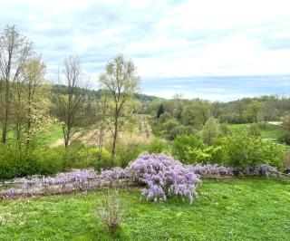 B&B Cascina Dei Levrieri - 3