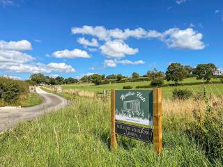 Forget-Me-Not - Uk37646 - Bradbourne - 9
