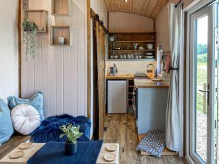 Forget-Me-Not - Uk37646 - Bradbourne - 8