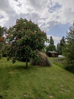 Chalet des Prés de la Fontaine - - 8