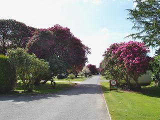 Seaton - Saint Cleer - 2