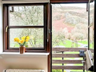 Kite 2 - Uk6547 - Llanfihangel-Bryn-Pabuan - 8