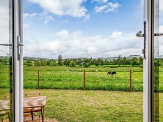 Foxglove - Uk37639 - Bradbourne - 9