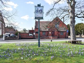 Elm House Studio - Christleton - 8