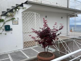 Terrazza Ammare - 0