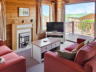 Pine Lodge - Ilfracombe - 9