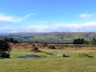 Lower Hameldown-Uk12424 - Widecombe in the Moor - 1