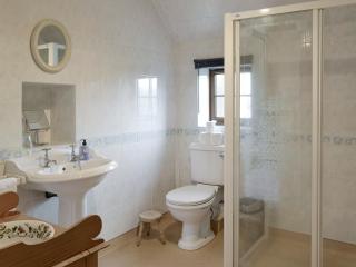 Shedend - Kingston - 1