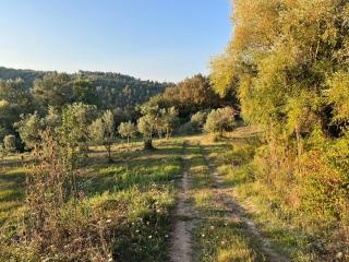 Terra del sorriso - 1