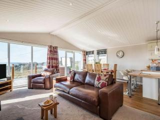 Oakwood Lodge - Lochwinnoch - 8