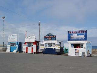 Daisy Cottage - Seahouses - 3