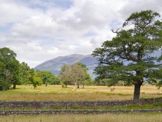 Field House Cottage - Uk12573 - Borrowdale Valley - 1