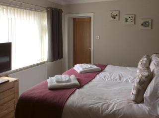 Green View - Churston Ferrers - 4