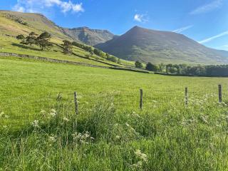 Apple Tree Cottage - Threlkeld - 2