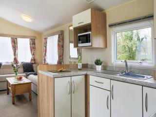The Villa At Youlditch Farm - Okehampton - 4