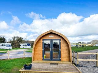 Buttercup - Uk41387 - Brixham - 1