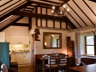 Mallard - Llangennith - 7