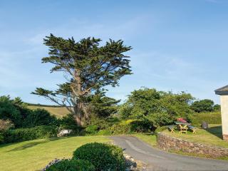 Tara - Kingsbridge - 6
