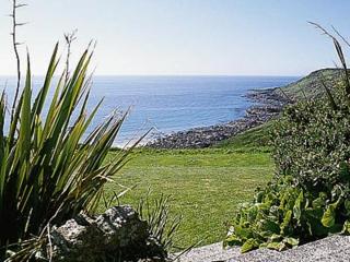 Tamarisk - Coverack - 1