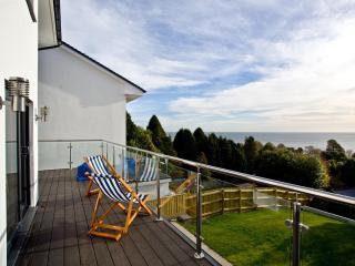 Orestone House - Dawlish - 6