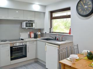 Puffin - Kerrera - Lerags - 6