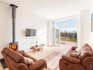 The Red Barn - Ashford - 9
