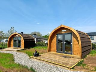 Buttercup - Uk41387 - Brixham - 0