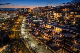 Savoy Monumentalis V by An Island Apart - 1