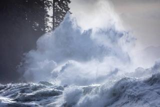 The Great Escape - Port Renfrew & Bunkhouse - Port Renfrew - 9