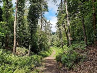 The Briars - Lydbrook - 2