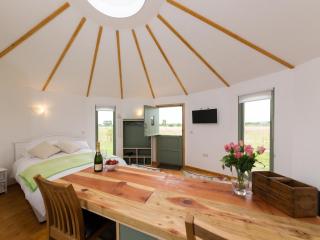 Olive - Wootton Bridge - 6