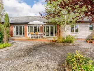 Marigold - Shepton Mallet - 8