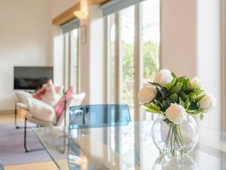 Marigold - Shepton Mallet - 5