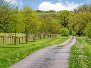 Marigold - Shepton Mallet - 1
