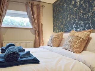 The Chapel Barn - Llangynllo - 3