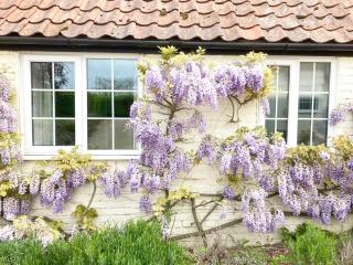 Valley Farm Cottage - Sudbourne - 3