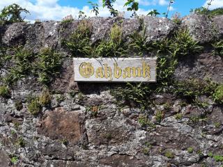 Ben Ledi View - Callander - 1