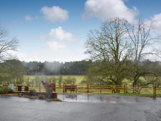 The Cottage - Bewdley - 3