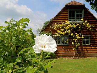 Prospect Cottage - Wittersham - 9