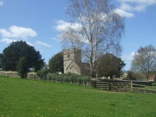Buzzards - 8235 - Bridport - 0