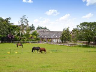 Appletree Cottage - Kirkton of Tealing - 3