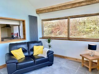 Oak View Cottage - Llangunllo - 9