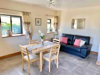 Oak View Cottage - Llangunllo - 8