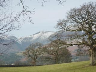 Acorn Lodge - Burnside Park - Keswick - 6