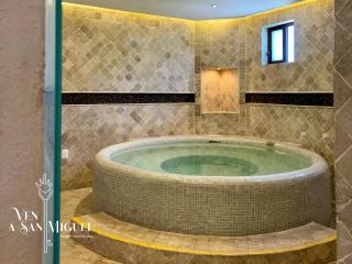 Spacious No Stairs Gated Community Pool Parking Gym - San Miguel de Allende - 5