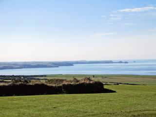 Downhouse Cottage - Delabole - 5