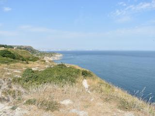 Trevina - Portland - 5